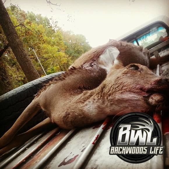 Meet your Posher, George - Picture 1 of 1